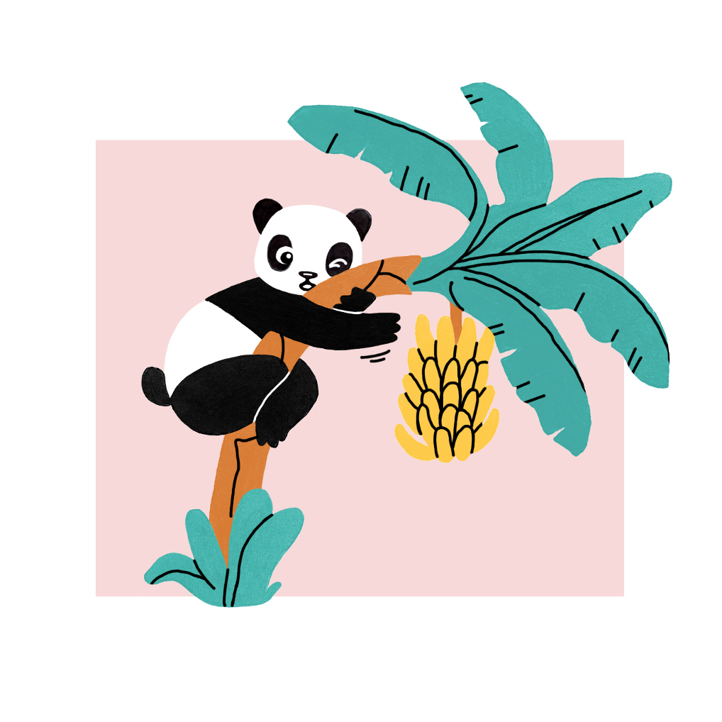 PANDASCOPE JUILLET 2026