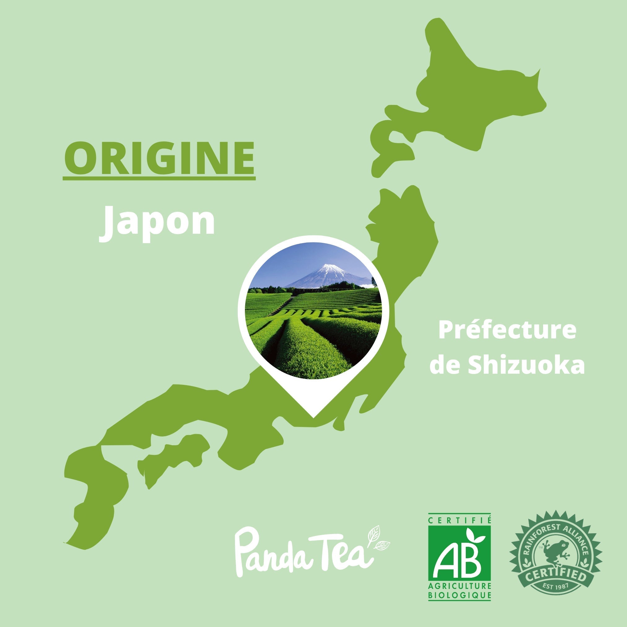 Thé Matcha Cérémonie Bio en Poudre