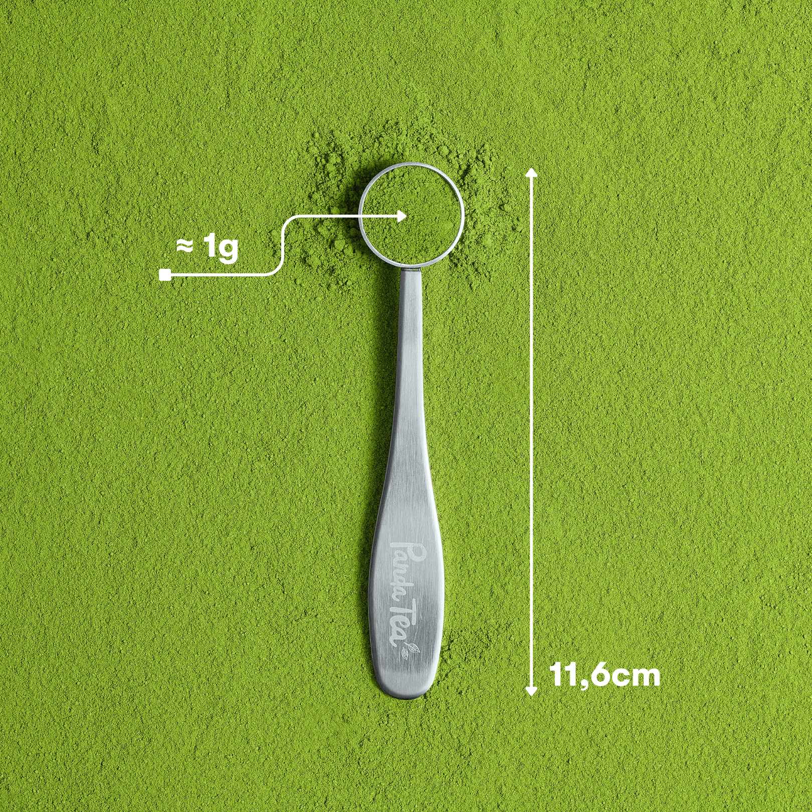 Cuillère à Matcha en Inox