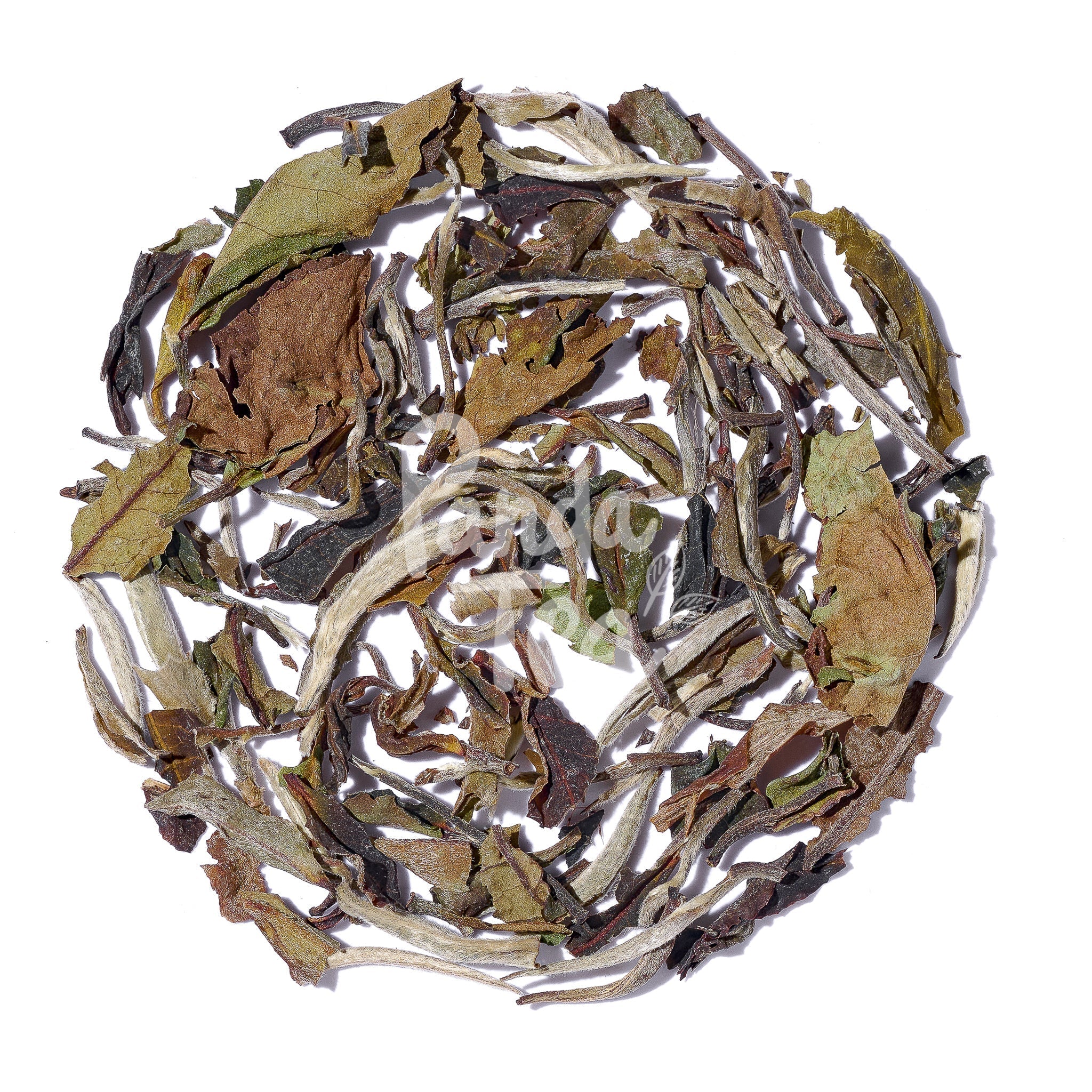 Pai Mu Tan (Bai Mu Dan) Bio